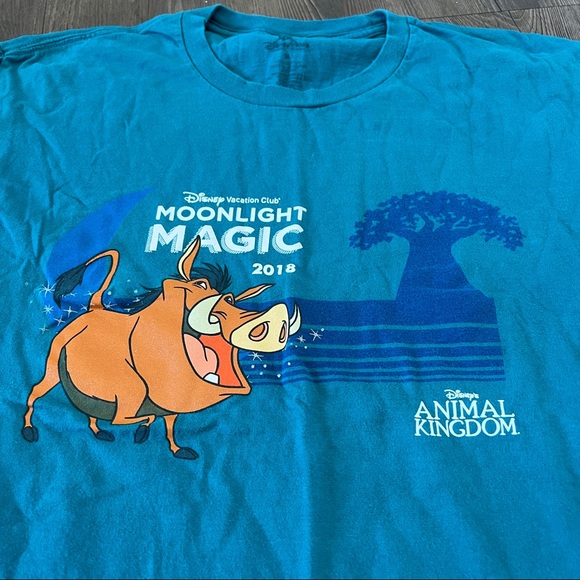 2018 DVC Moonlight Magic Animal Kingdom Timon & Pumba Tee - Picture 2 of 3